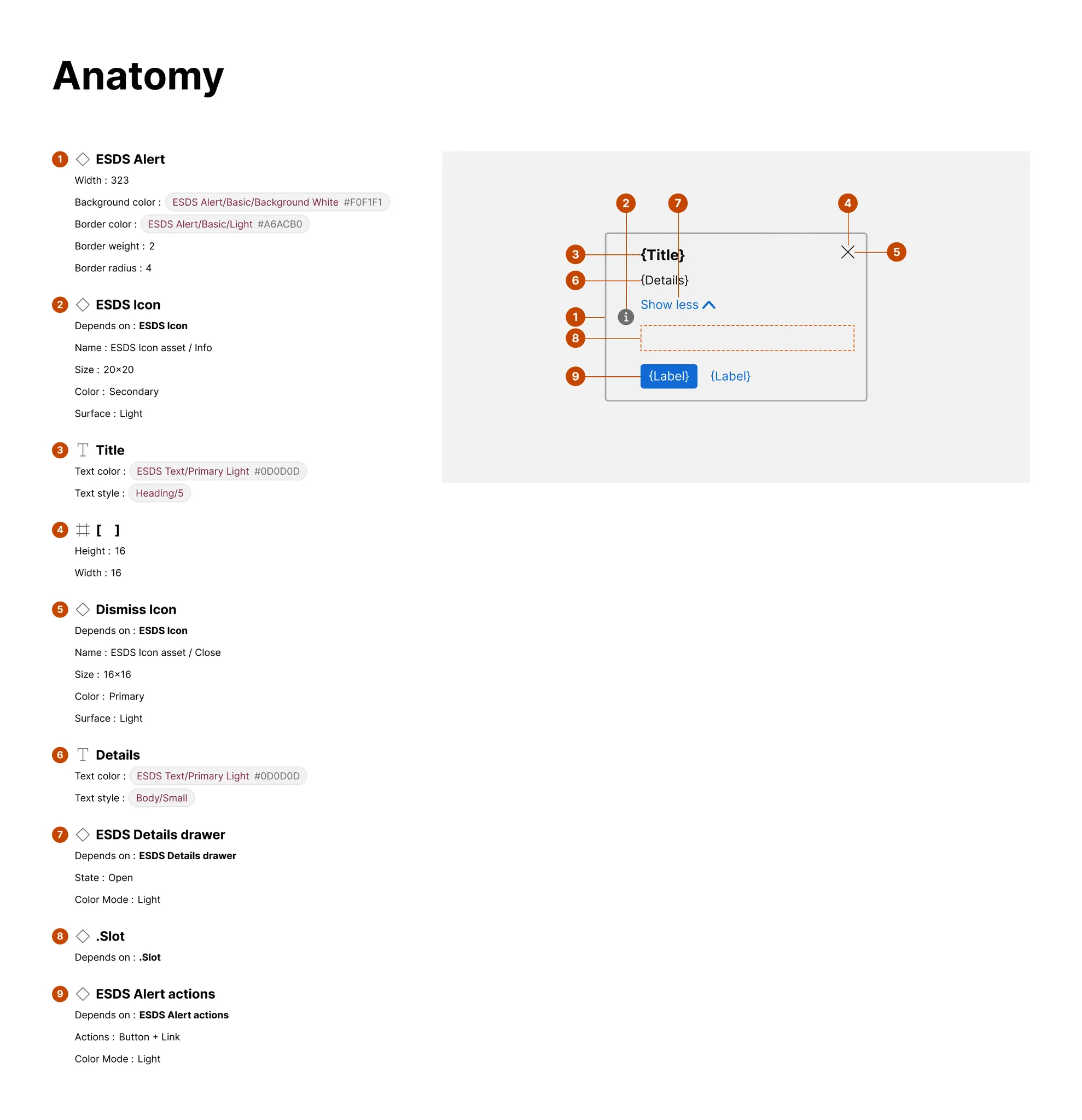 Anatomy overview